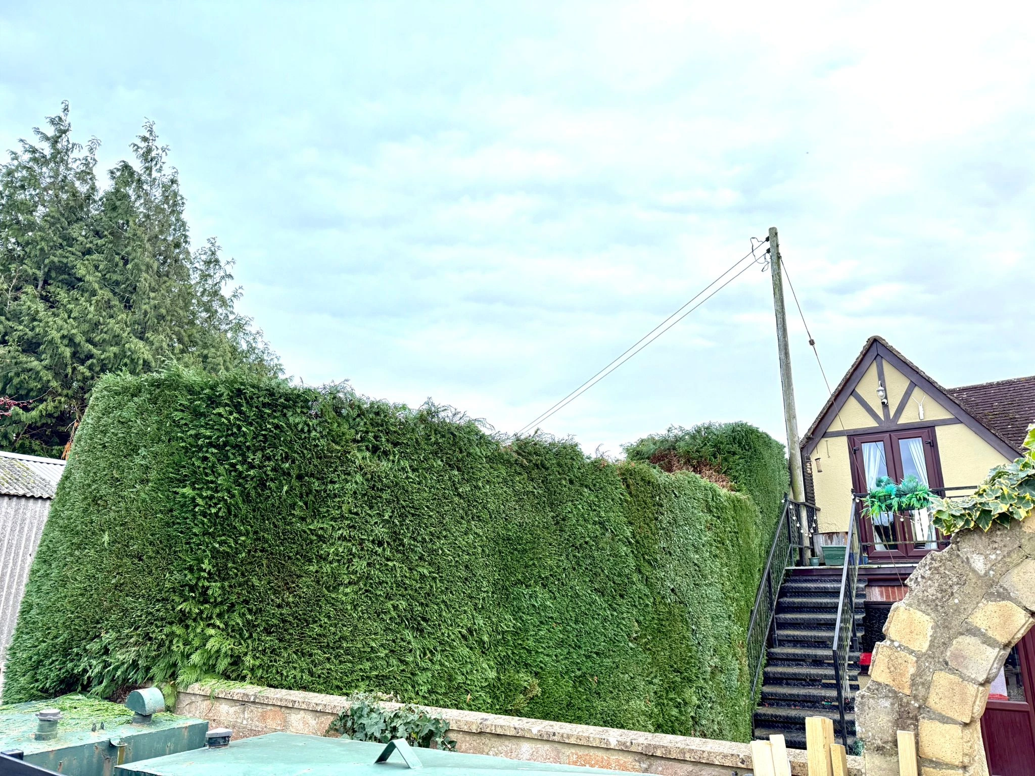 Conifer Hedge Reduction after - Professional results in Gloucestershire