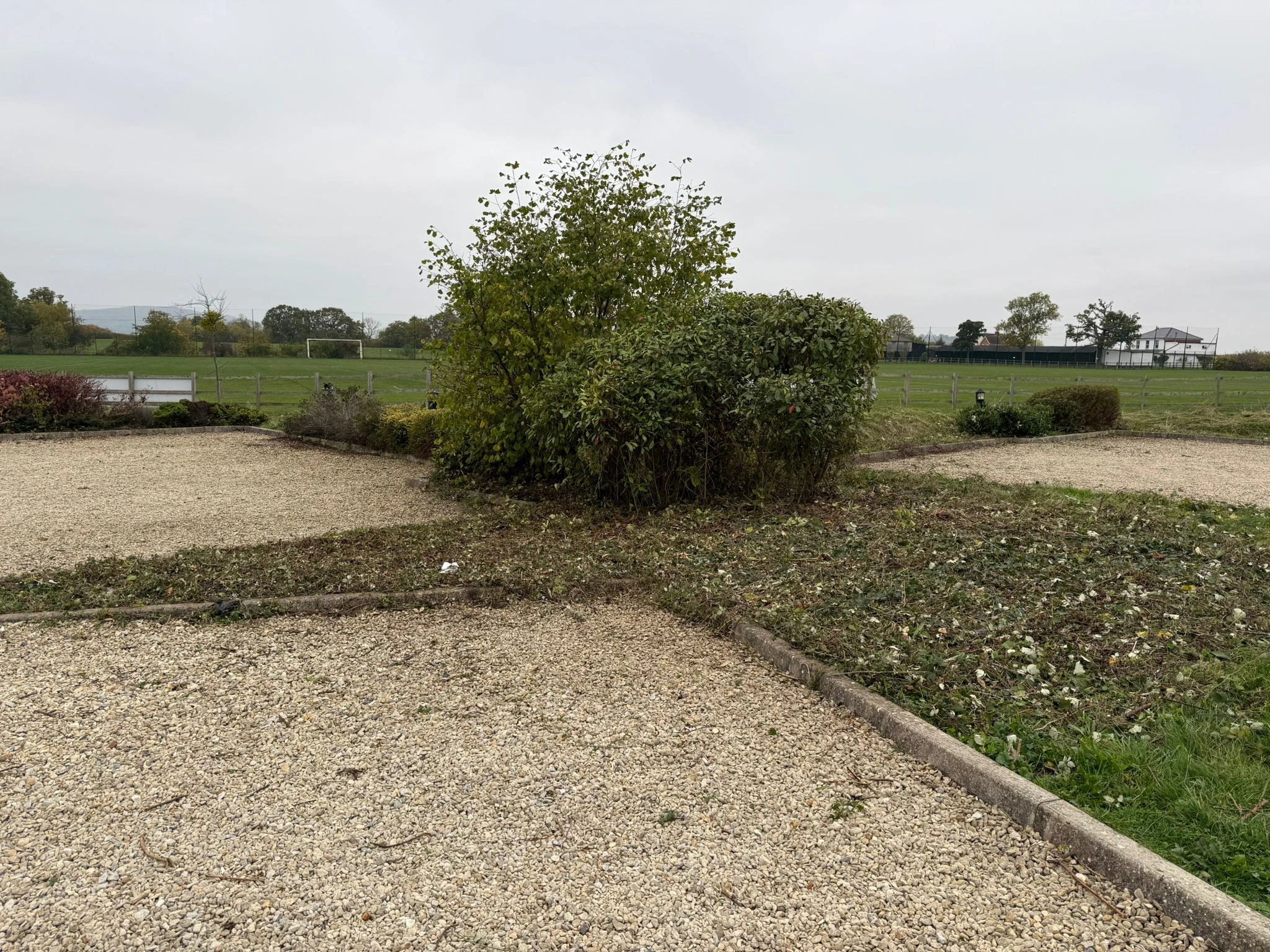Professional tree surgery work in Worcester, Gloucestershire