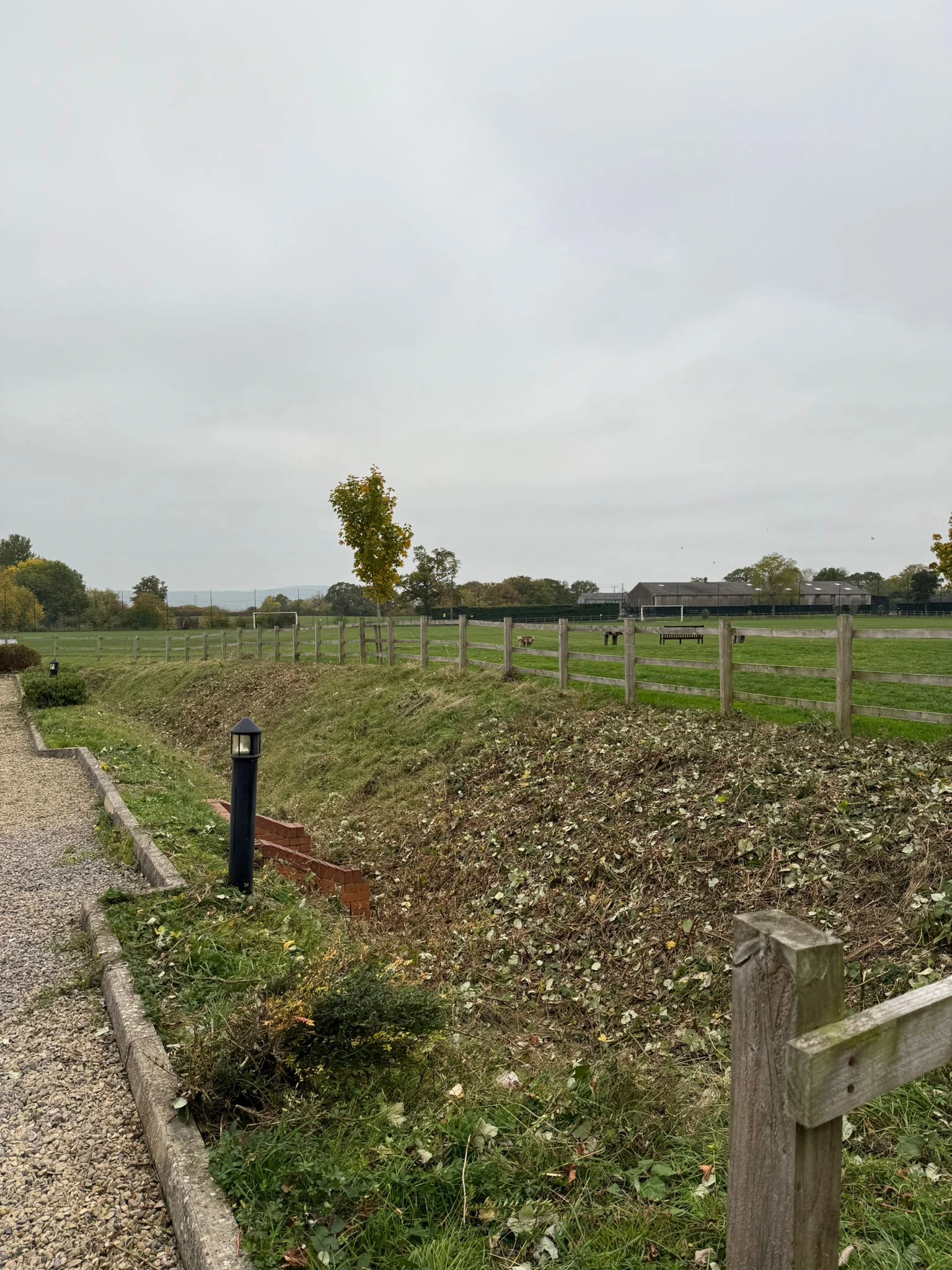 Tree services in Gloucester