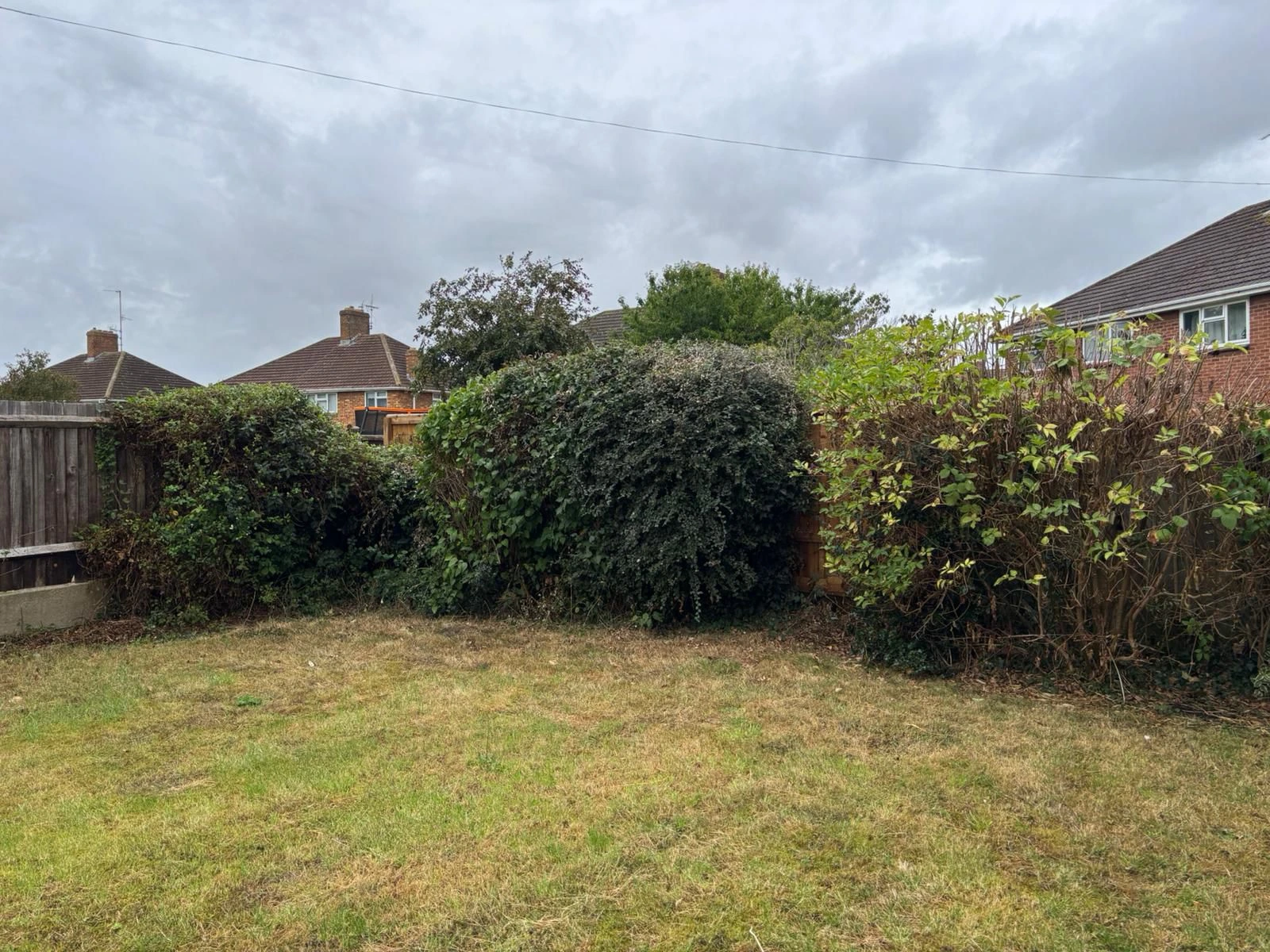 Tree services in Cirencester
