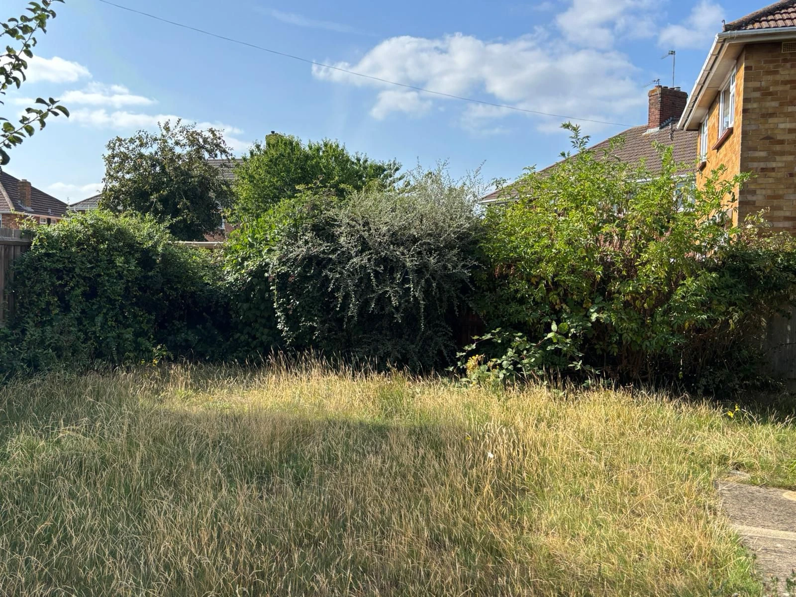 Garden Clearance - Before