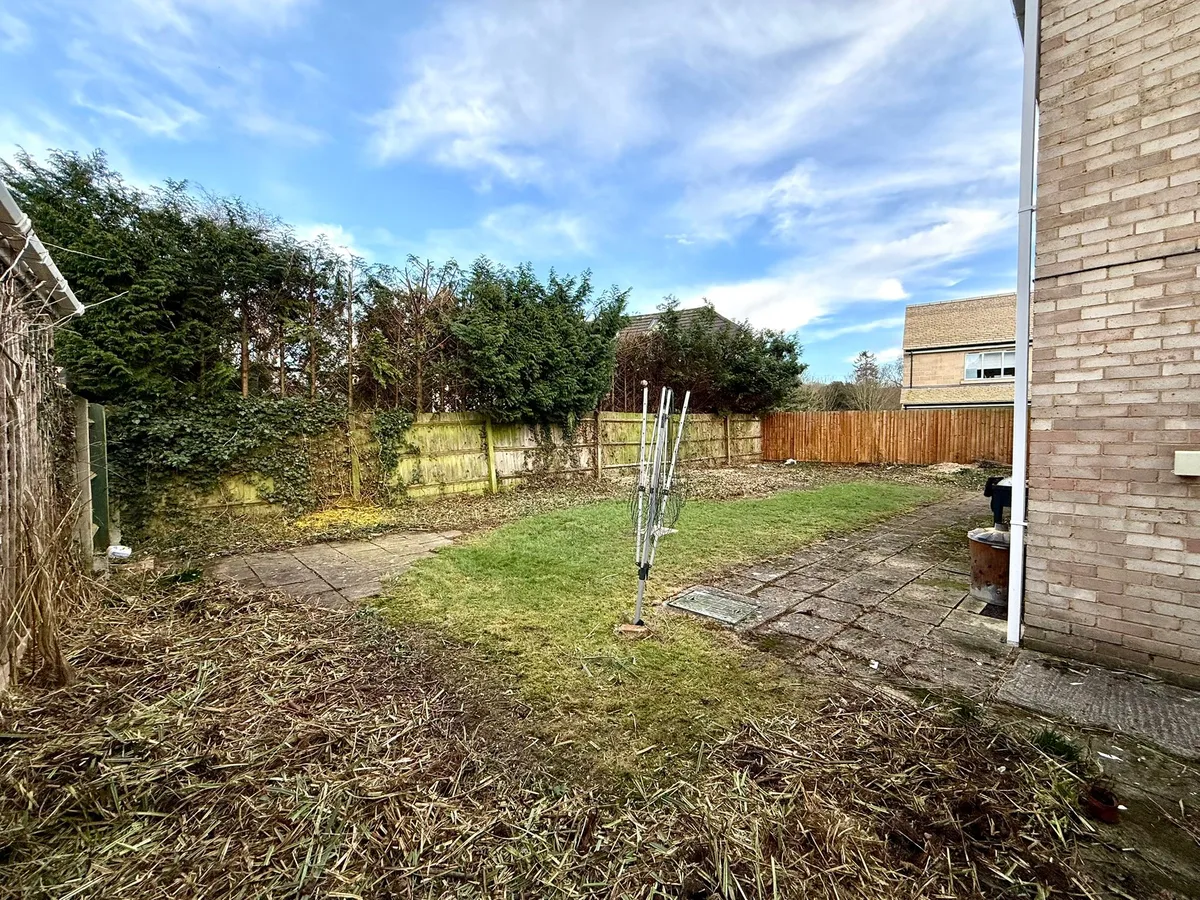 Tree services in Tewkesbury