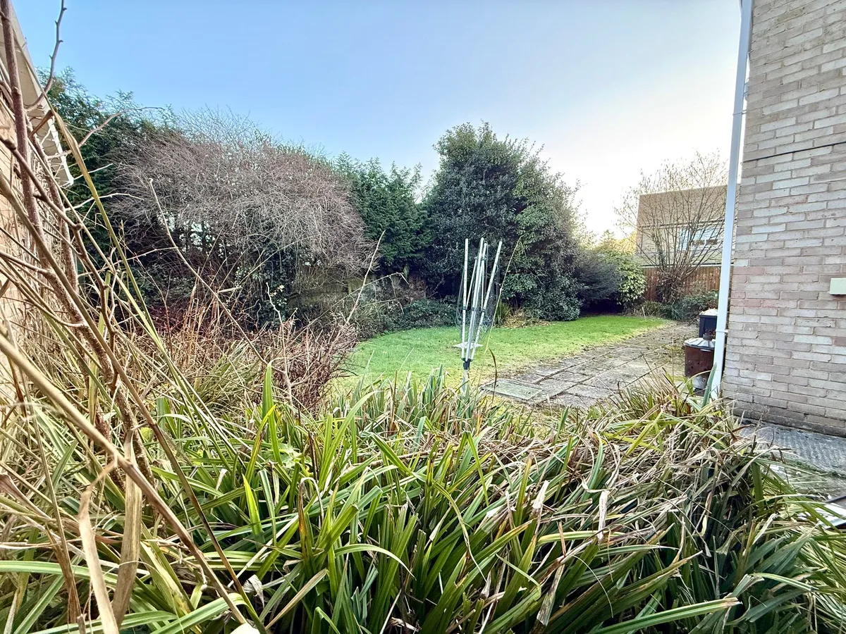 Garden Clearance Project 4 before - Professional tree work in Gloucestershire