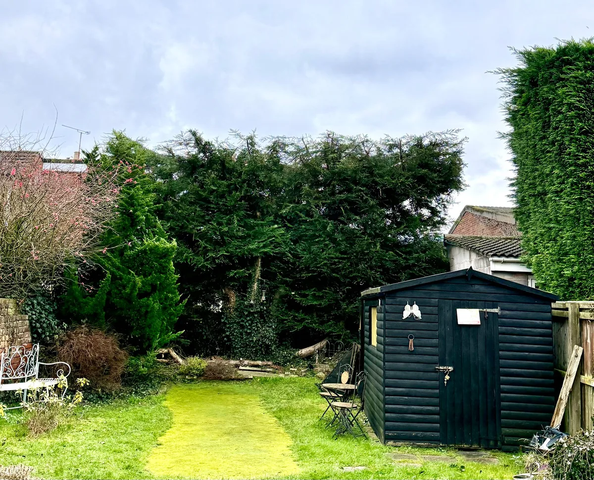 Professional tree surgery work in Cirencester, Gloucestershire