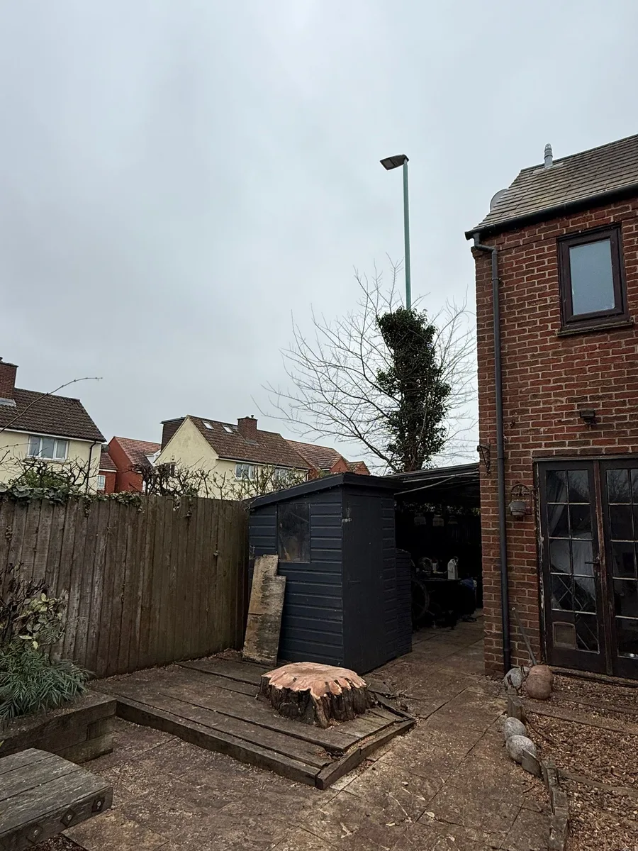 Professional tree surgery work in Tewkesbury, Gloucestershire