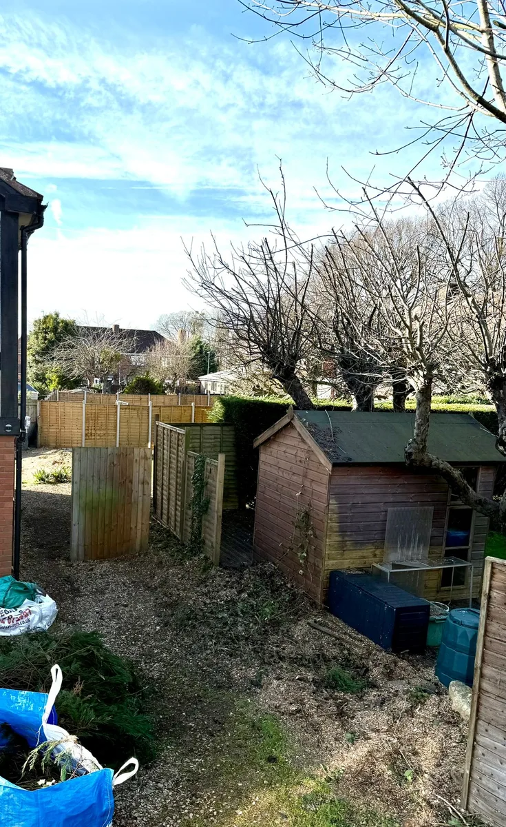 Recent tree work in Gloucester