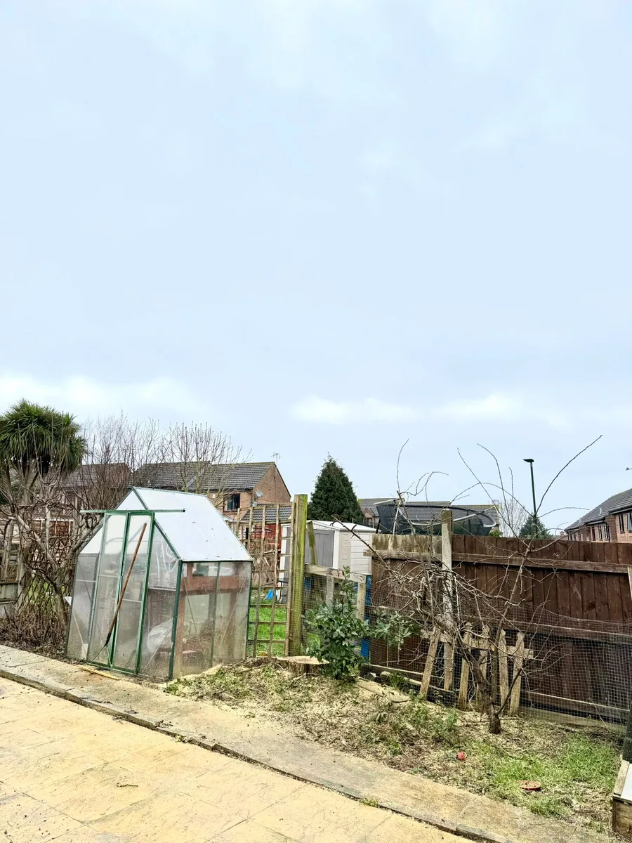 Tree Removal Project 7 after - Professional results in Gloucestershire