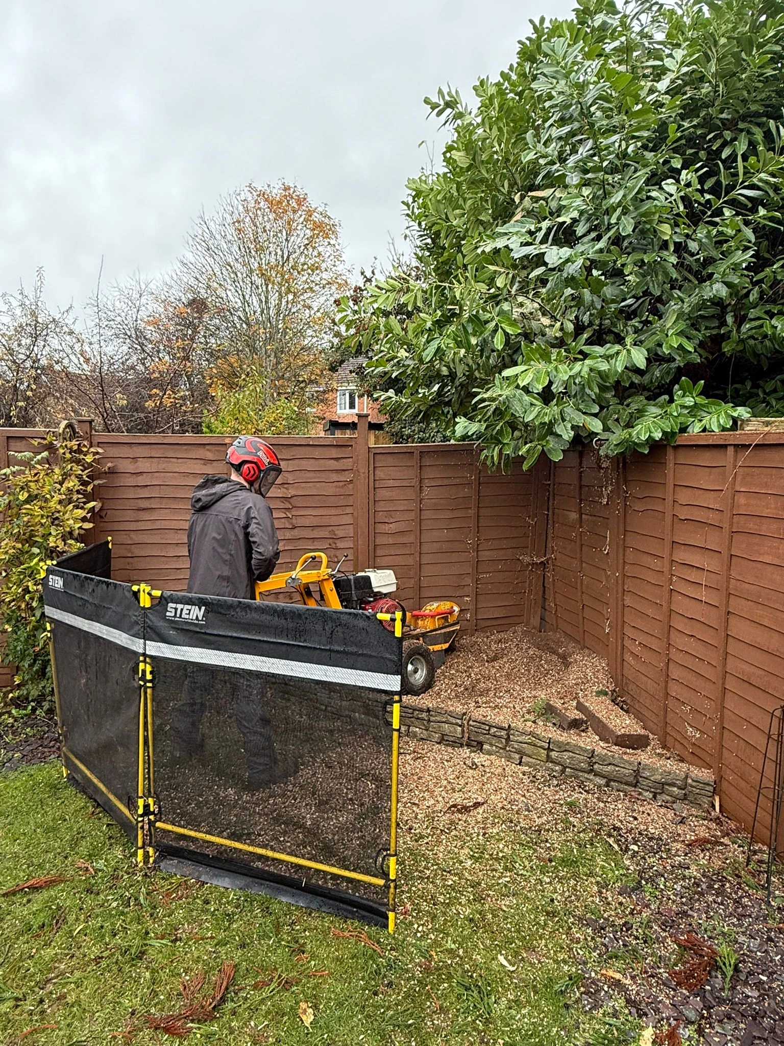 Stump Removal
