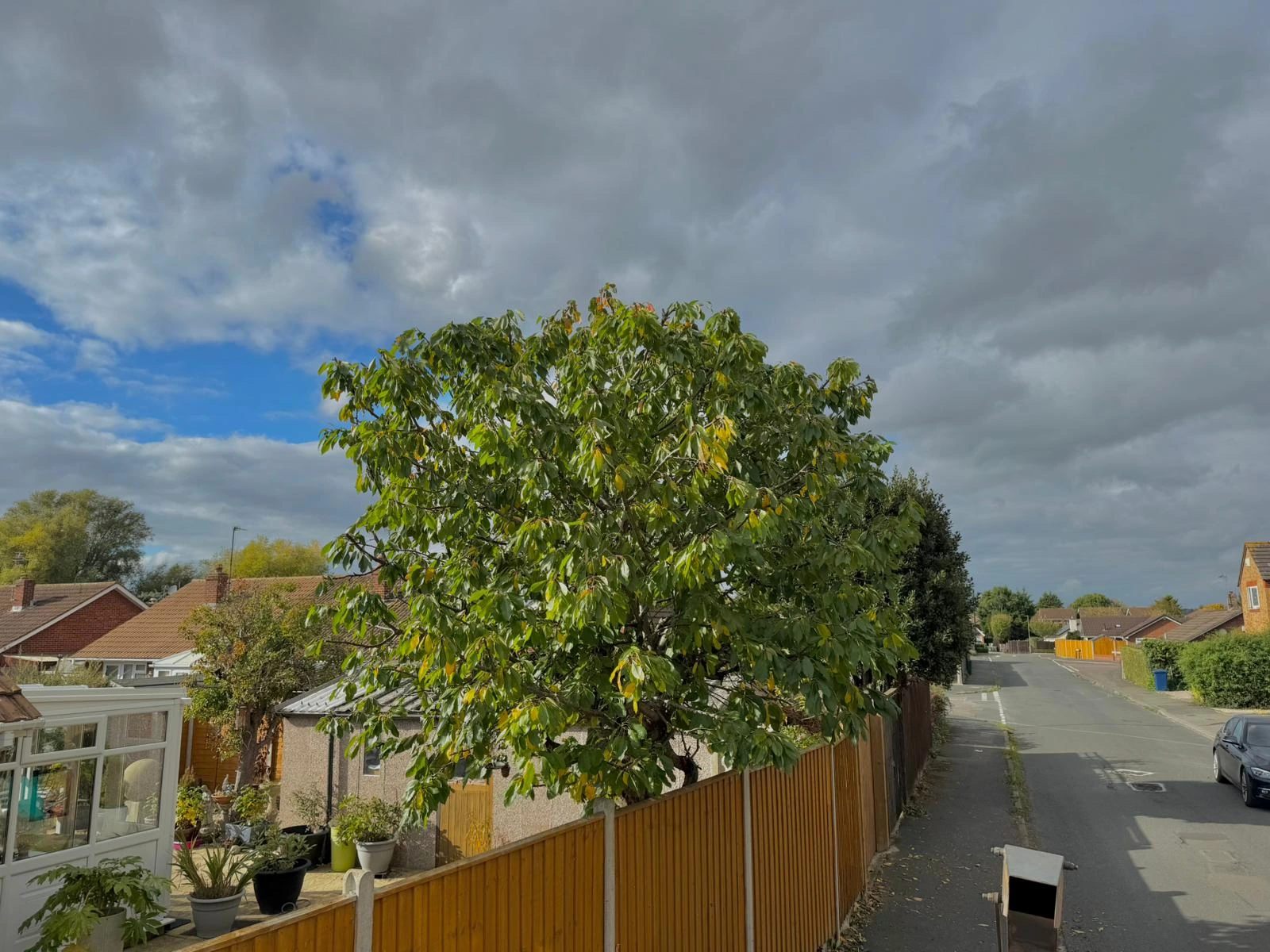 Tree Reduction - After
