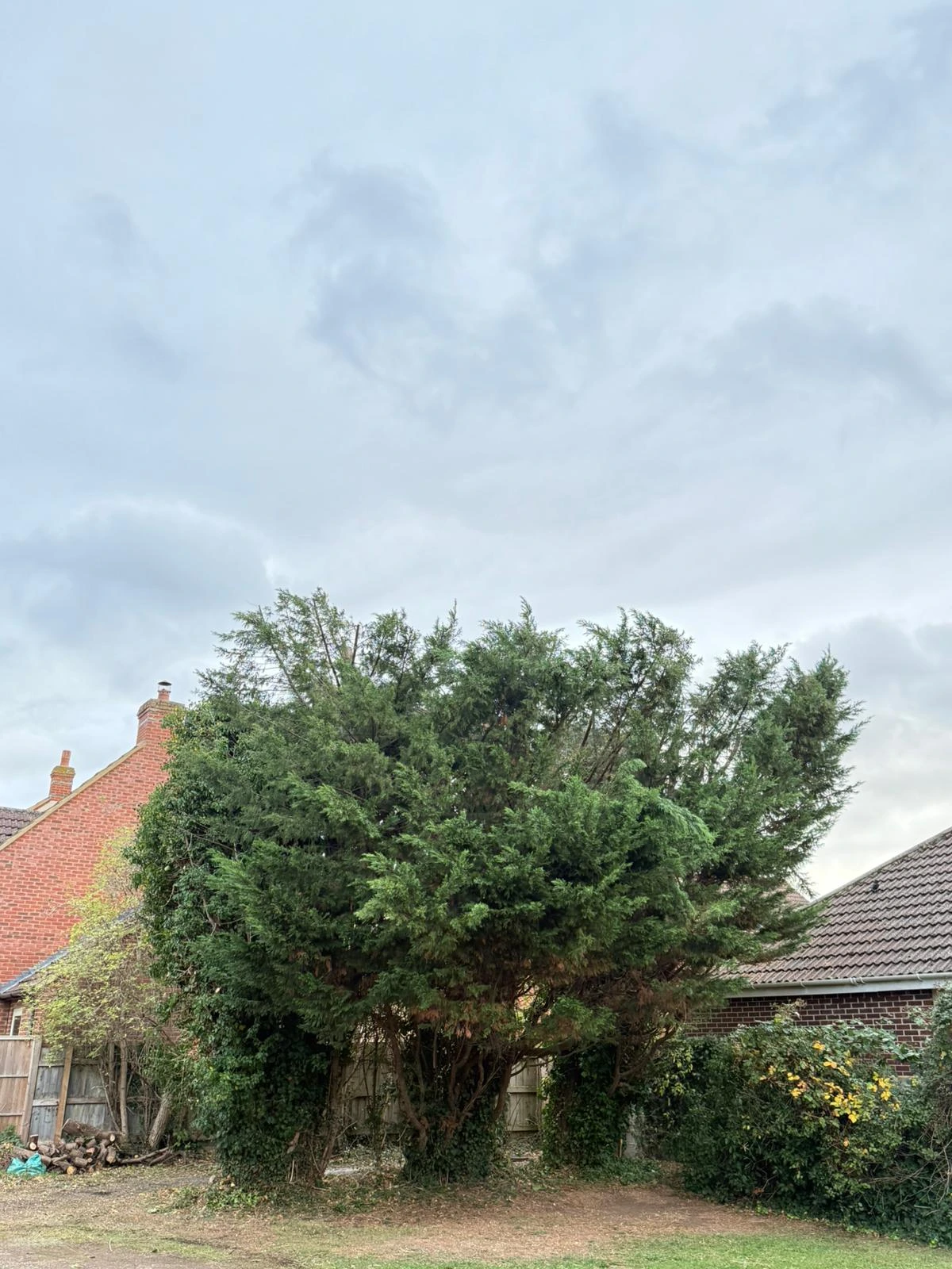 Tree Reduction - After