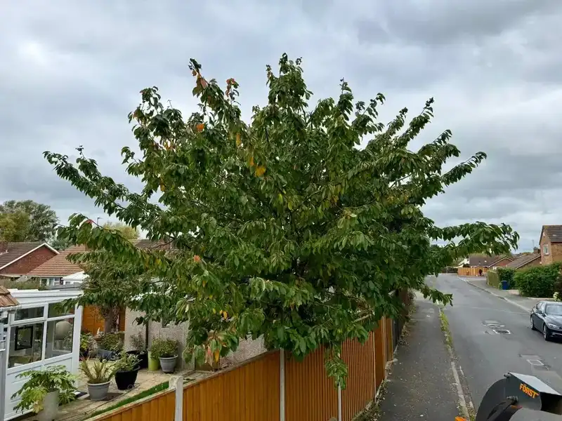 Tree Reduction - Before