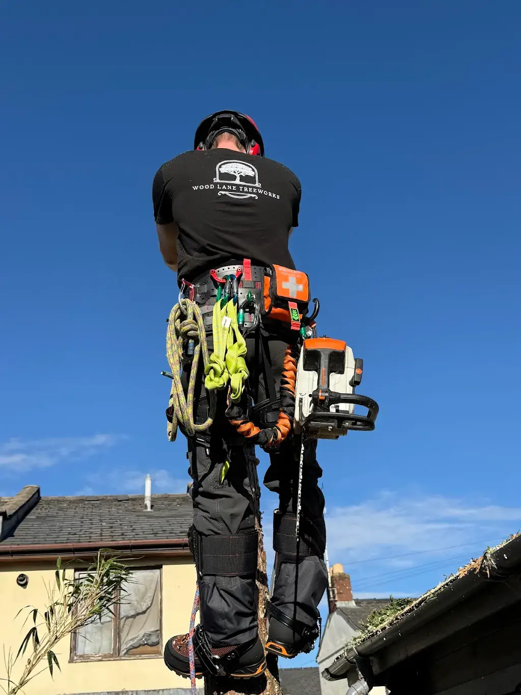 Tree Works Tre421 Tree Wood Lane Treeworks | Tree Surgeons in Gloucestershire